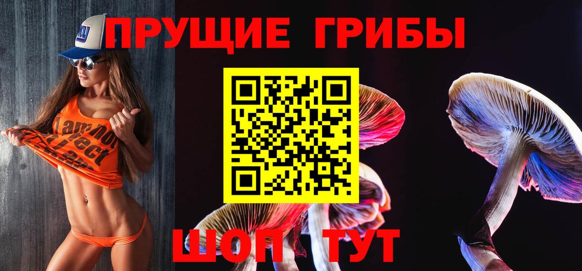 Псилоцибиновые грибы GOLDEN TEACHER  Вход с VPN  Керчь 